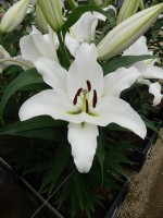 [5614 VH44 No02.JPG]